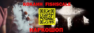 крисы Гатчина