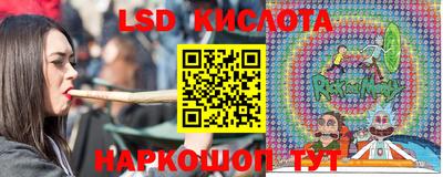 крисы Гатчина