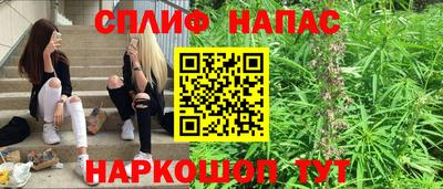крисы Гатчина