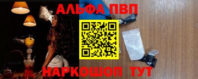крисы Гатчина