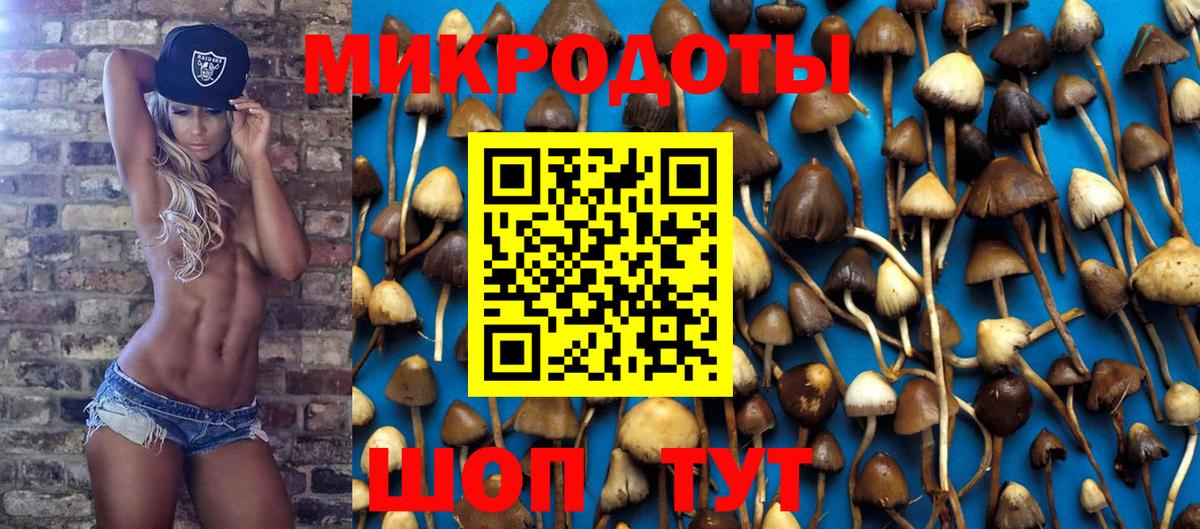 как найти наркотики  Вход с VPN  Надым  Псилоцибиновые грибы Cubensis 